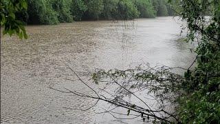 Pesca y Aventura en Misiones Argentina | Día Lluvioso #fishing #