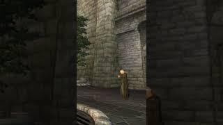 Приговор привести в исполнение незамедлительно.. : The Elder Scrolls IV Oblivion NPC