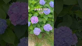 #북한강뷰 카페 #전망좋은카페