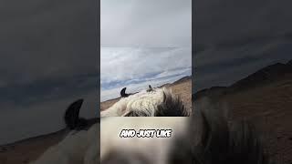 Mind-Reading Dog Herds Sheep Like a Pro! (Amazing Skills)