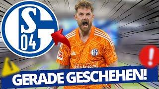S04: BESTÄTIGTE NACHRICHT! GROSSE WENDE! aktuelle nachrichten des fc schalke 04 aktuell