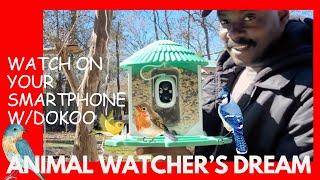 Dokoo Smart Bird Feeder #birdwatching