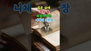 힘든 삶에 '의미'를 되찾아주는 니체의 3문장 #니체 #쇼펜하우어 #명언 #코니카드쇼츠