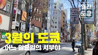 도쿄 브이로그/도쿄여행/시부야/나폴리탄/스시/시부야스카이/쿠사마야요이/월간도쿄