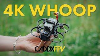 Was Caddx mit diesem FPV Cinewhoop anders macht