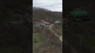 Живём в гармонии с природой
