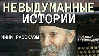 Очень интересные истории. Православные рассказы - Фаддей Витовницкий