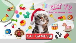 Fun Cat Games for Cats  Realistic Bug Chase    Interactive Cat TV - 11 Hours