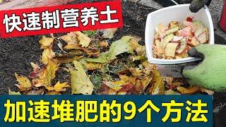 9个技巧加速制作营养堆肥土 9 Tips to speed up making nutritious compost soil