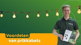 Uitgelicht | Voordelen van prikkabels | Diverse lengtes | LedLoket