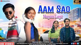 SANTALI VIDEO//AAM SAO NAPAM LAGIT//BISHAL HEMBRAM & JUHI //NEW SANTALI VIDEO 2024