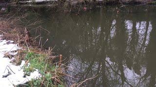 On the River Stour for the first angling session of 2021