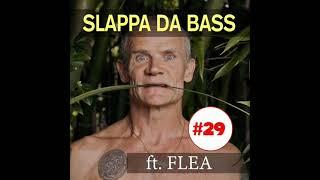 Slap Bass Lesson #29 feat. Flea (Red Hot Chili Peppers)