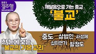 [#정주행] '고(苦)'에서 시작하는 불교, 불교를 이루는 기본 교리 한 편으로 배우기 | 원영스님의 불교대백과