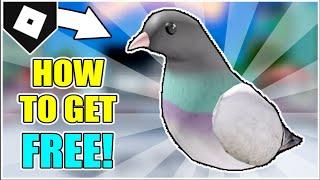 [FREE] How to get VANS PIGEON SHOULDER PET in VANS WORLD! [ROBLOX]