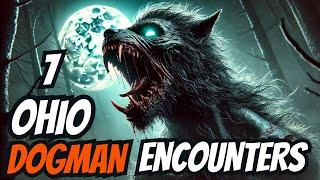 7 Ohio DOGMAN Encounter Stories You Haven't Heard