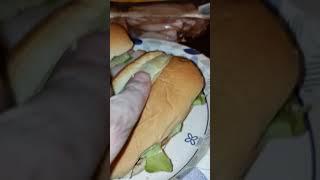 Eating Oscar Mayer Shaved Smoked Turkey Breast, Dbn, MI, 3/23/23