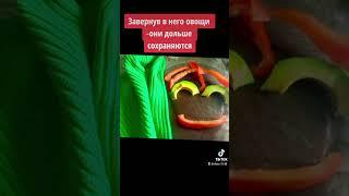 23 апреля 2024 г.