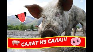 САЛАТ ИЗ САЛА!!! Быстрый рецепт!