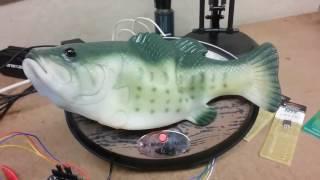 Amazon Alexa Hacked Into Billy Bass Fish