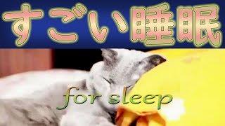 【すごい眠り】猫も寝落ちする安眠の調べ【深い安らぎと癒し】