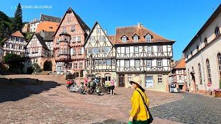 [4K] Day 1: Miltenberg on Main - Germany Medieval Village- Alps road trip