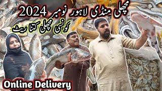 Largest Wholesale Fish Market || Lahore ki Sabse Bari Or Sasti Fish Market || November 2024