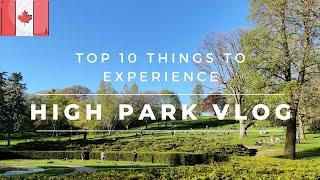 Best picnic spot in Toronto  | High Park Vlog