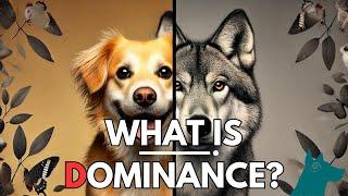 What is Dominance in Dogs?