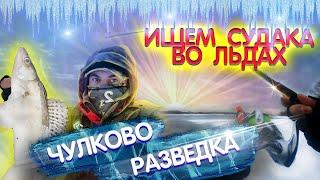 Ищем судака в ЧУЛКОВО. Рыбалка на МОСКВА реке. Зимний спиннинг 2021.