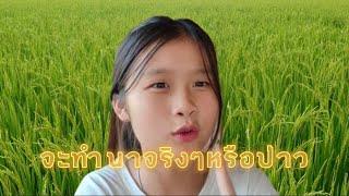 สาเหตุ​ที่หายไปหลายวัน​ น้องเหมยไปทำนาหรือป่าว