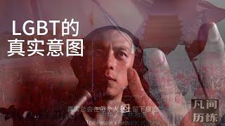 【众生相03】通过LGBT，来看看美国政治运动的基本流程，LGBT的特殊目的是优生优育，但人真的与猪狗一般可以随便折腾吗？