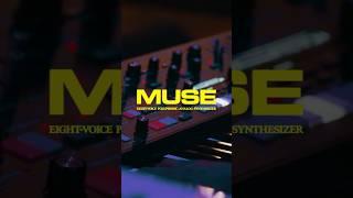 Moog Muse | Nas Illmatic 30 Year Anniversary Tour | Markay Fairley | PPAC