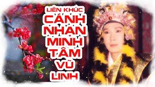 Liên khúc hồ quảng CÁNH NHẠN MINH TÂM - VŨ LINH (Ngọc Huyền, Tài Linh, Phượng Mai, Tú Sương...)