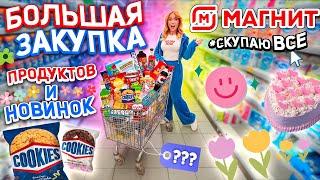 Большая Закупка ПРОДУКТОВ и Новинок Еды Шоппинг в МАГНИТ Скупили ВСЕ и ПОТРАТИЛИ ВСЕ ДЕНЬГИ 