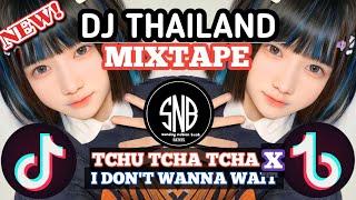 DJ THAILAND MIXTAPE | TCHU TCHA TCHA X I DONT WANNA WAIT | SNB REMIX