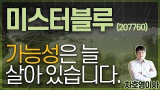 미스터블루 (207760) - 가능성은 늘 살아 있습니다.