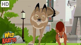 The Most Adaptable Creature | A Coyote Hunting in the City | Wild Kratts