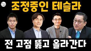 테슬라 주가 조정? 테슬라 신고가 갱신할 이유