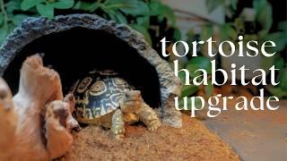 Transforming a Dog Crate into a Tortoise Enclosure | DIY Tortoise Habitat Upgrade