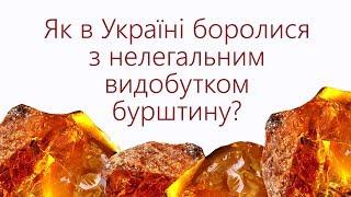 Нелегальний видобуток бурштину: як побороти мафію з мільярдними прибутками?