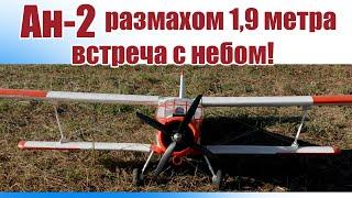 Ан-2 размахом 1,9 м / Встреча с небом! / ALNADO