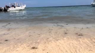 Waves on beach time lapse iphone 6 maya riviera