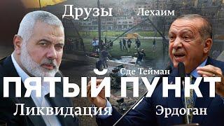 Пятый пункт: Друзы, Ликвидация, Эрдоган, Сде Тейман, Лехаим