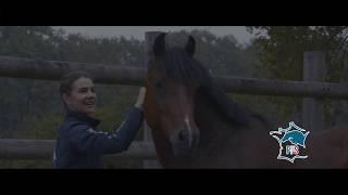 Le Poney Français de Selle - FPPCF