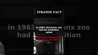 Strange fact #strange #viral #facts #trending #fact #knowfacts #scary