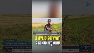 Cəlilabadda fermerlərin 3 aylıq əziyyəti 2 gündə heç oldu...