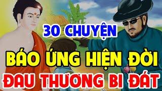 30 Chuyện Nhân Quả Phật Giáo, Về BÁO ỨNG HIỆN ĐỜI Đau Thương Bi Đát Nhất AI CŨNG NÊN NGHE Dù 1 Lần