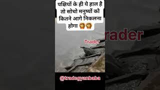 perfectscalpingtrade,profitable trade,motivation traders #motivation #scalpingtradingstrategybanknif