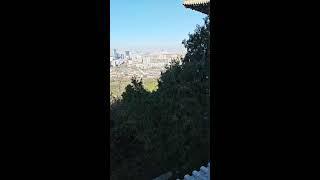舔狗仙人